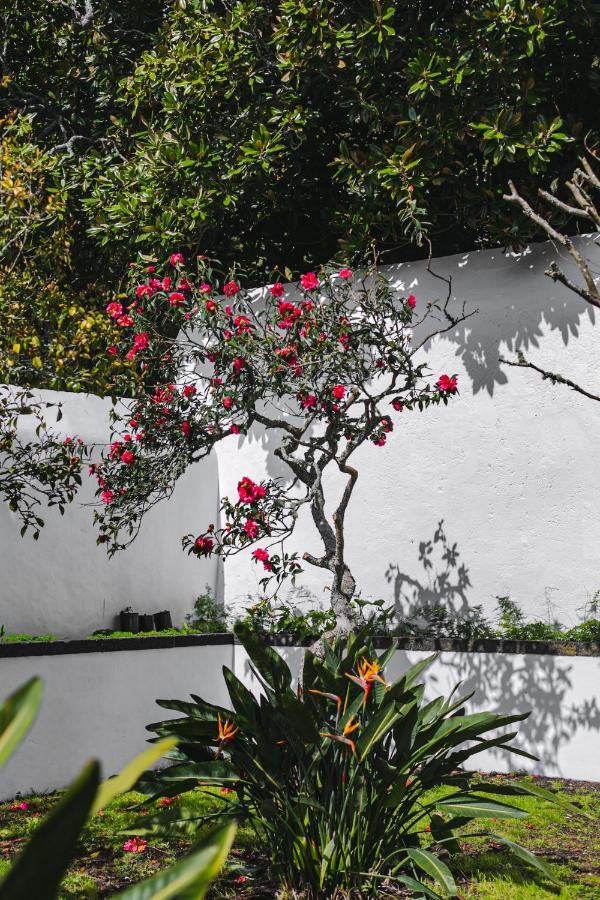 Ferienwohnung Quinta Dos Misterios- Turismo De Habitacao Fajã de Santo Amaro Exterior foto